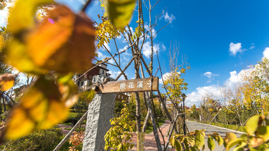 南山園區(qū)照片 (14)_副本.jpg 南山園區(qū)照片 (14)_副本.jpg