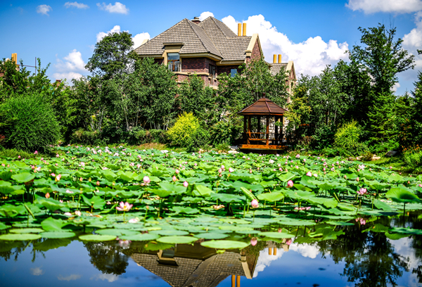 595A0074_副本.jpg 595A0074_副本.jpg