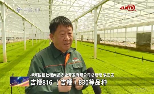 21.農(nóng)業(yè)總公司水稻基地經(jīng)理侯正發(fā)接受吉林衛(wèi)視采訪_副本.jpg 21.農(nóng)業(yè)總公司水稻基地經(jīng)理侯正發(fā)接受吉林衛(wèi)視采訪_副本.jpg